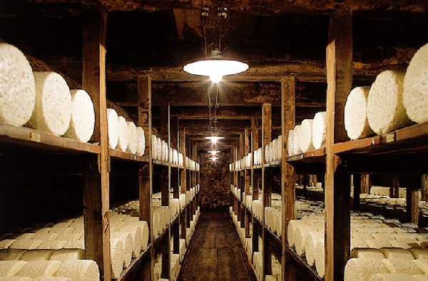 Caves Roquefort Société