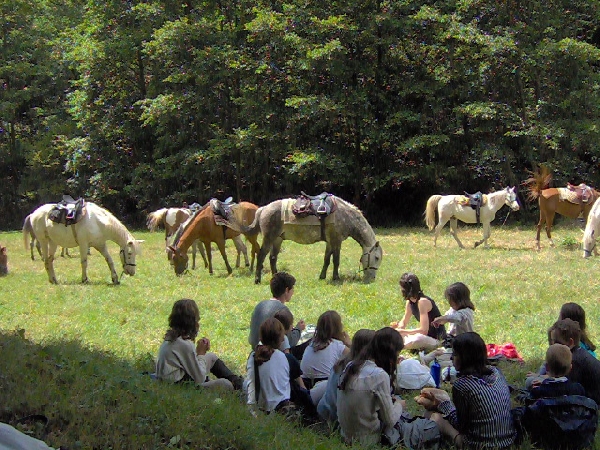 Ferme Equestre du Badour - Balade à Cheval  France Occitanie Aveyron Entraygues-sur-Truyère 12140