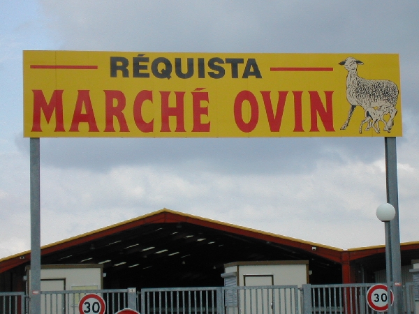Marché Ovin à Réquista  France Occitanie Aveyron Réquista 12170