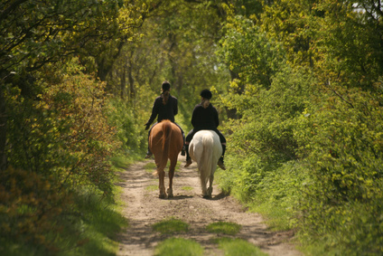 randonnee cheval aveyron