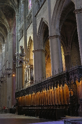 Visite guidée : La Cathédrale de Notre-Dame (groupes)