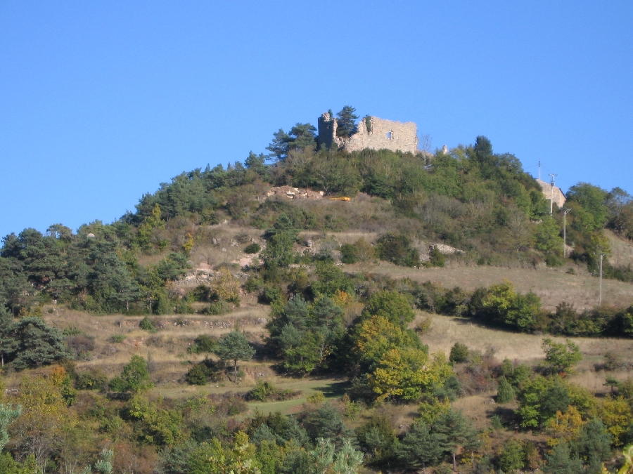 Participation libre reversée pour le Téléthon Le Château d'Algues ©OT Larzac et Vallées Participation libre reversée pour le Téléthon Le Château d'Algues ©OT Larzac et Vallées