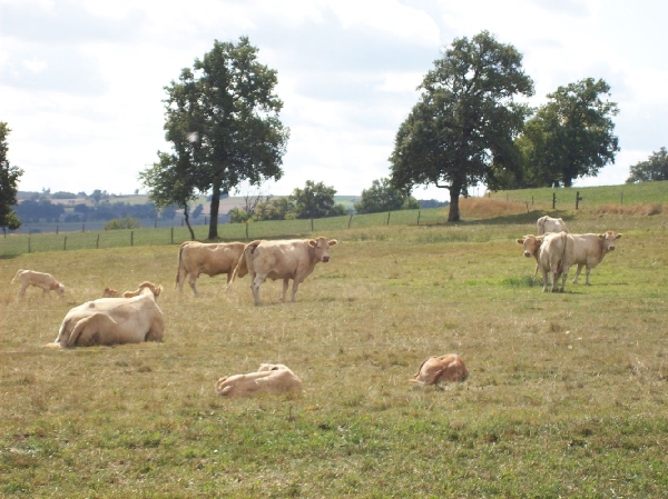 La Ferme de Tessi - Campings cars