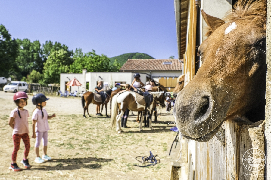 Poney Club Larzac et Vallées Elevage du Durzon