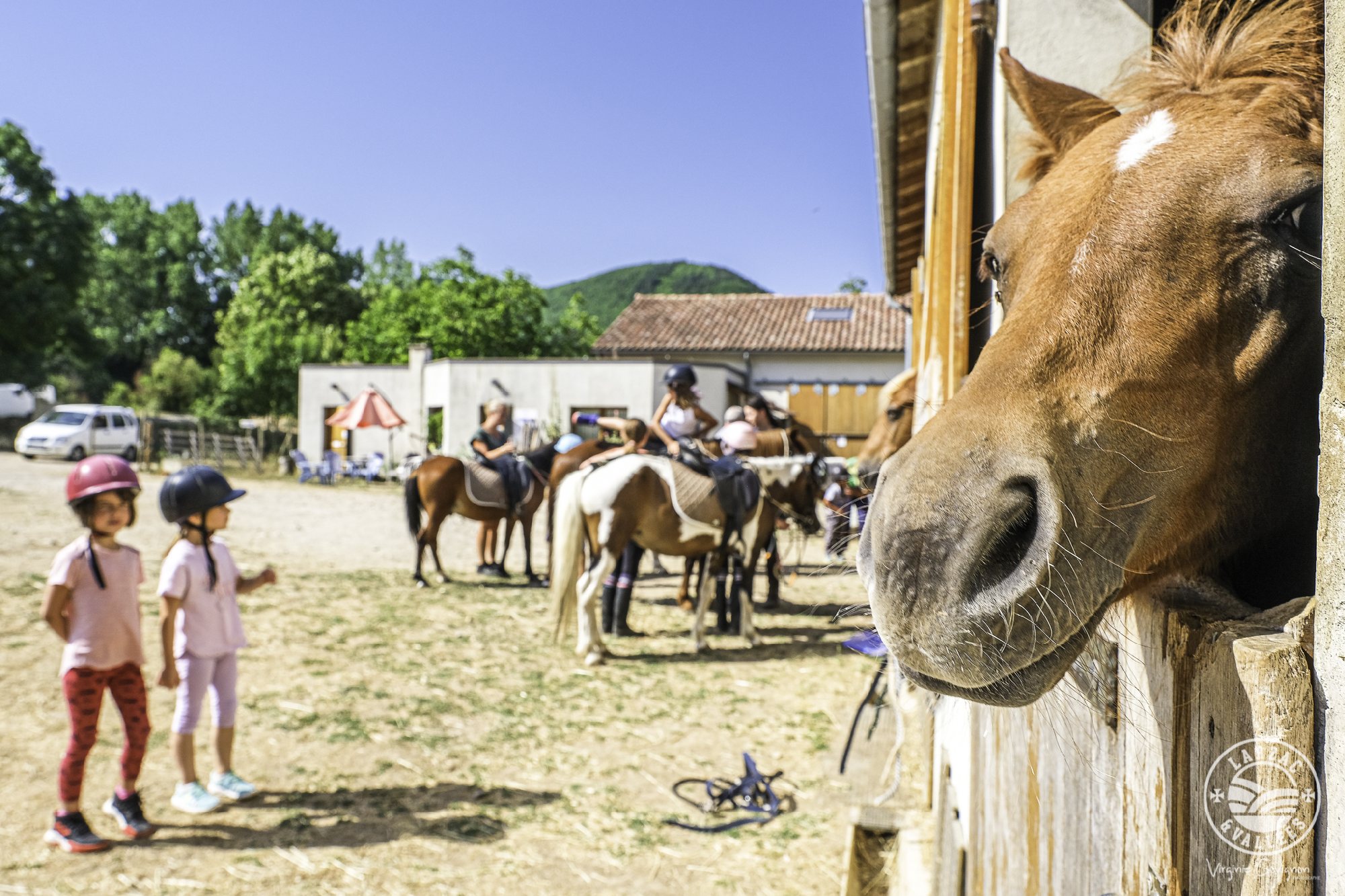 Poney Club Larzac et Vallées Elevage du Durzon, Virginie Govignon - OT Larzac Vallées