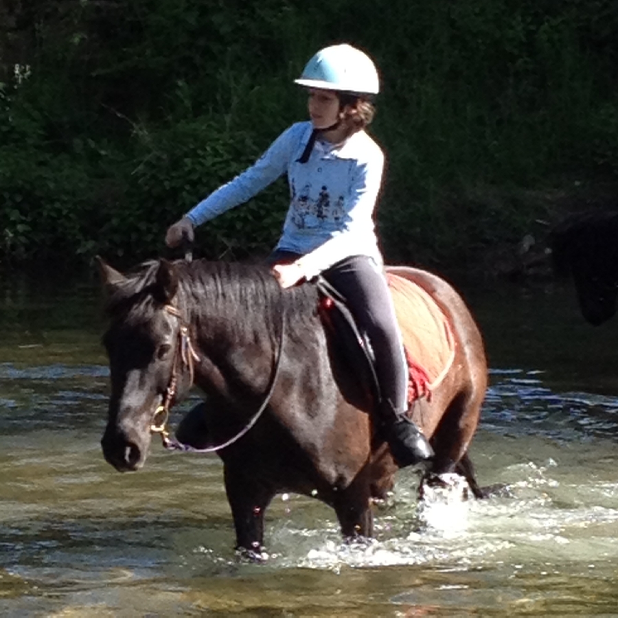 Centre Equestre Municipal de Saint Affrique