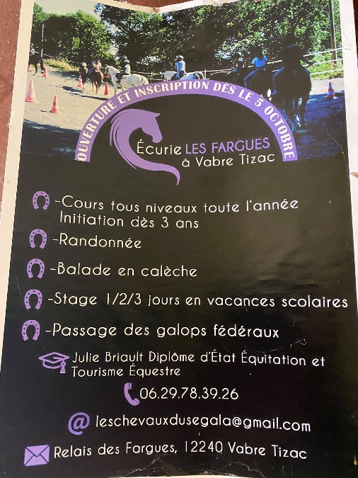 Les chevaux de Julie