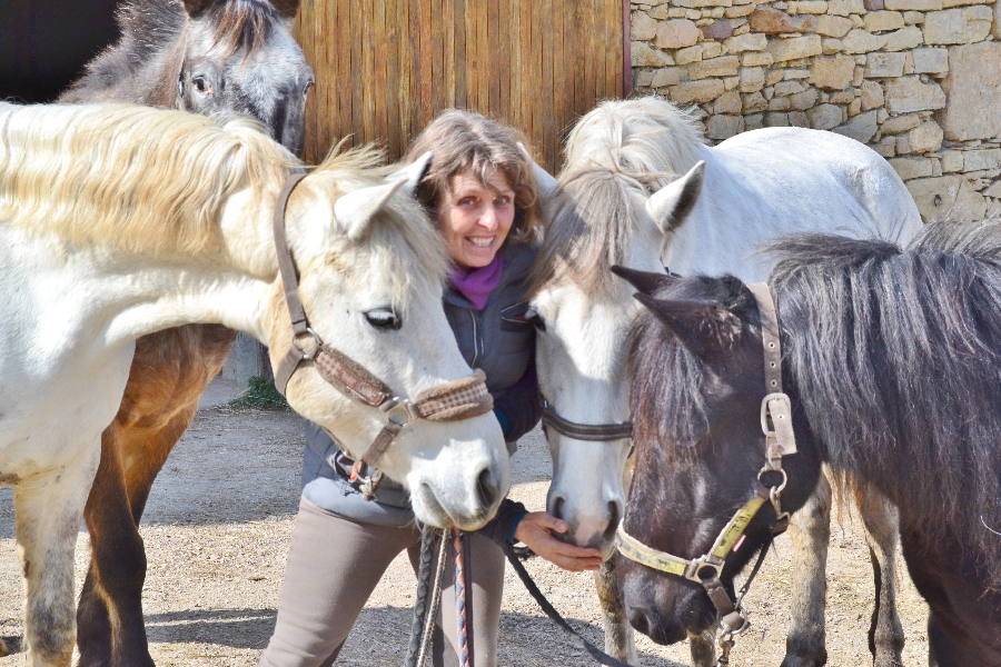 Ferme équestre de Saint Gauzy : Poney Club et Equithérapie  France Occitanie Aveyron La Rouquette 12200