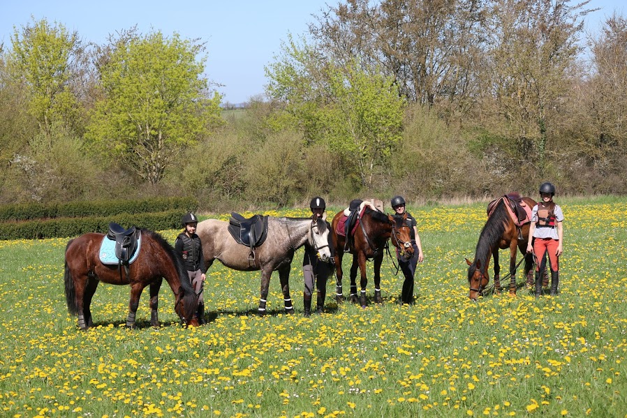 Centre Équestre de Vors - Poney Club