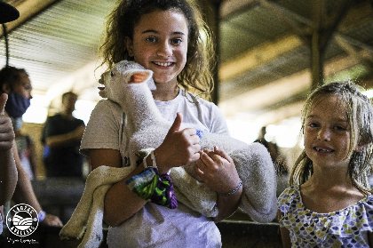 Ferme du Frayssinet, Virginie Govignon -OT LV