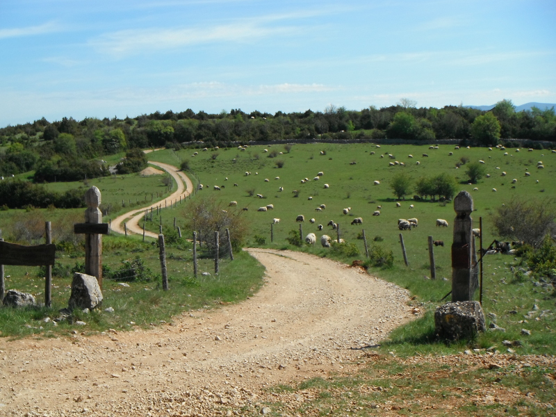 Camping à la ferme L'Aubiguier  France Occitanie Aveyron Nant 12230