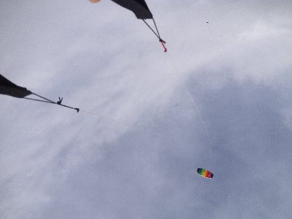 Bureau des accompagnateurs cerf-volant, La Maison du Plein Air