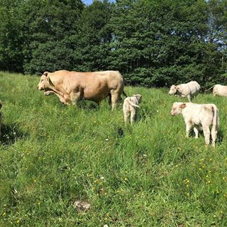 La Ferme Lou Brenac