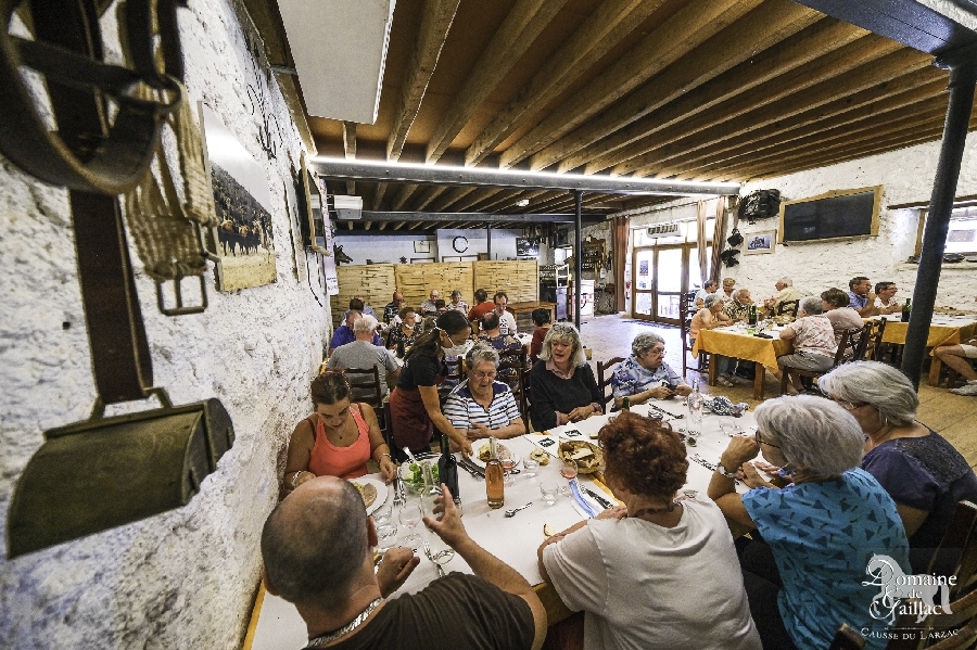 Auberge du Domaine de Gaillac  France Occitanie Aveyron Sauclières 12230