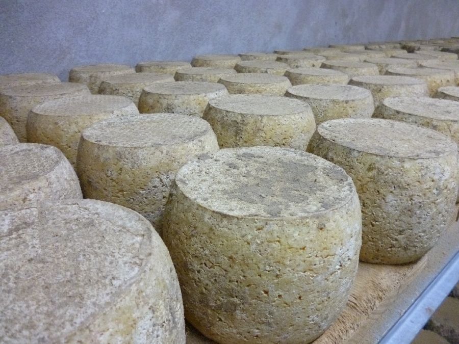 Coopérative Fromagère De Thérondels Carladez En Aveyron