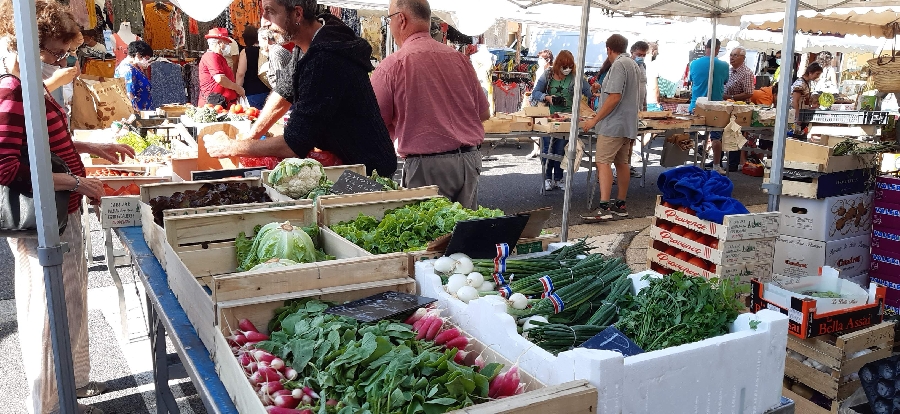 Foire Mensuelle à Réquista  France Occitanie Aveyron Réquista 12170