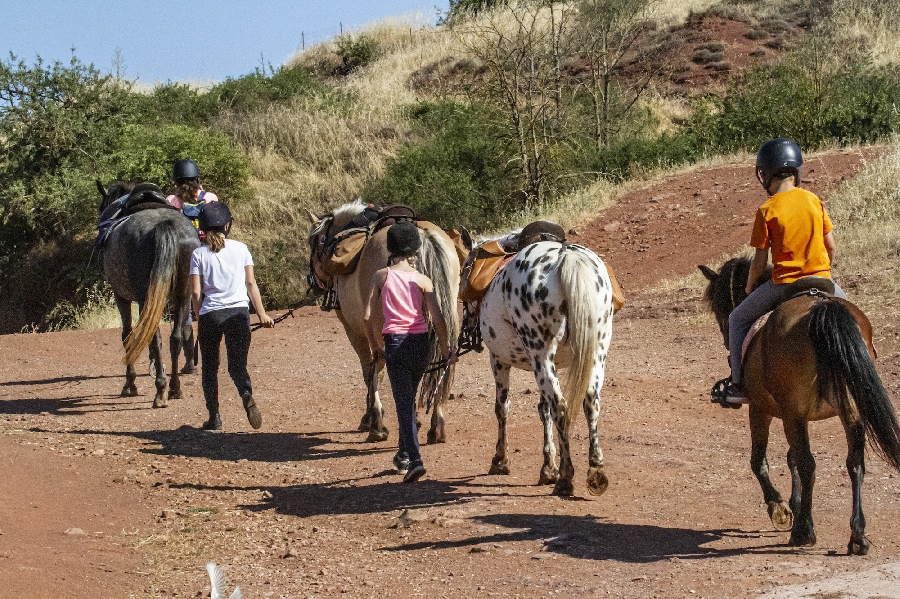 Poney Club - Centre équestre du Rougier