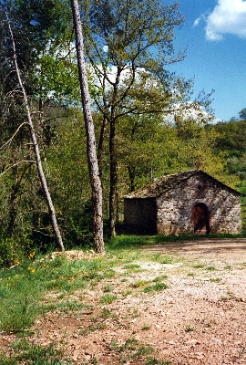 Pèlerinage Saint Ferréol