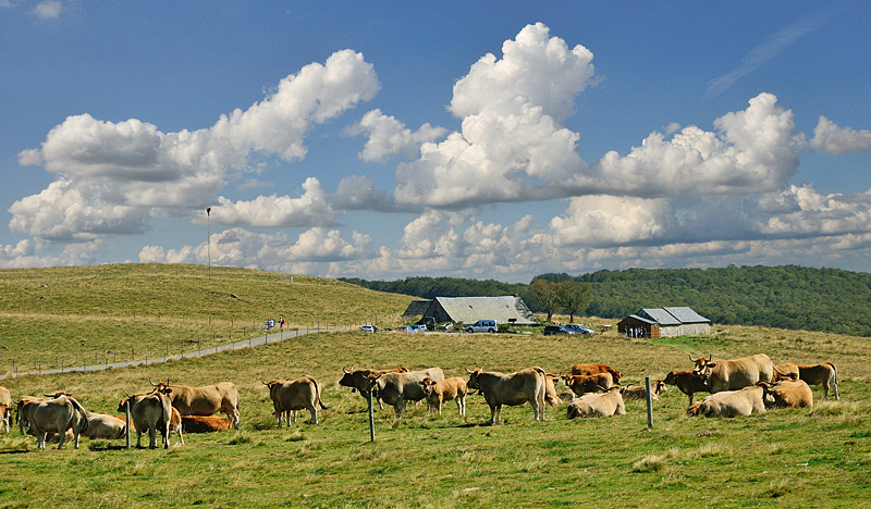 Buron de Caméjane  France Occitanie Aveyron Saint-Chély-d'Aubrac 12470