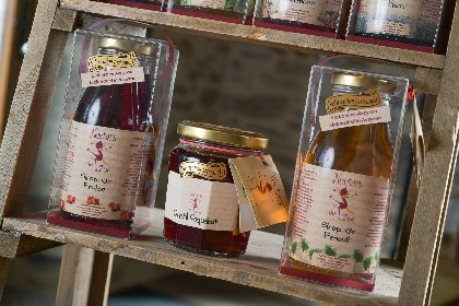 Les Nectars de Zoé - Préparation de fruits et sirops artisanaux, OFFICE DE TOURISME DE PARELOUP LEVEZOU