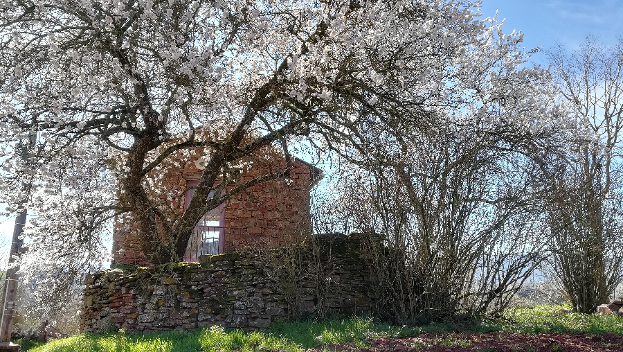 Gîtes de Faragous - Petit Gîte