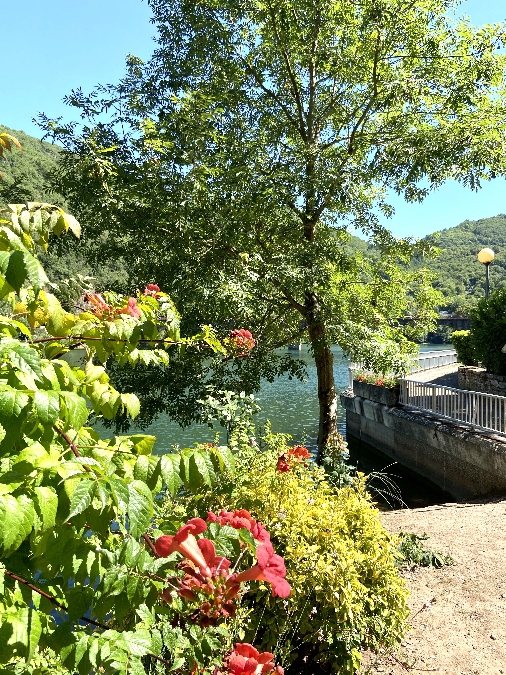 Brocante - Vide-grenier - Marché gourmand à Lincou