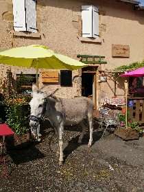 Gîte de St Roch Le Chemin, Office de Tourisme et du Thermalisme de Decazeville Communauté