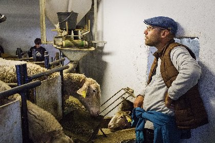 Ferme d'Alcas - visite libre, Ferme d'Alcas