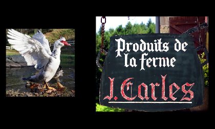 Table Paysanne Ferme Jacques Carles, OT Villefranche-Najac