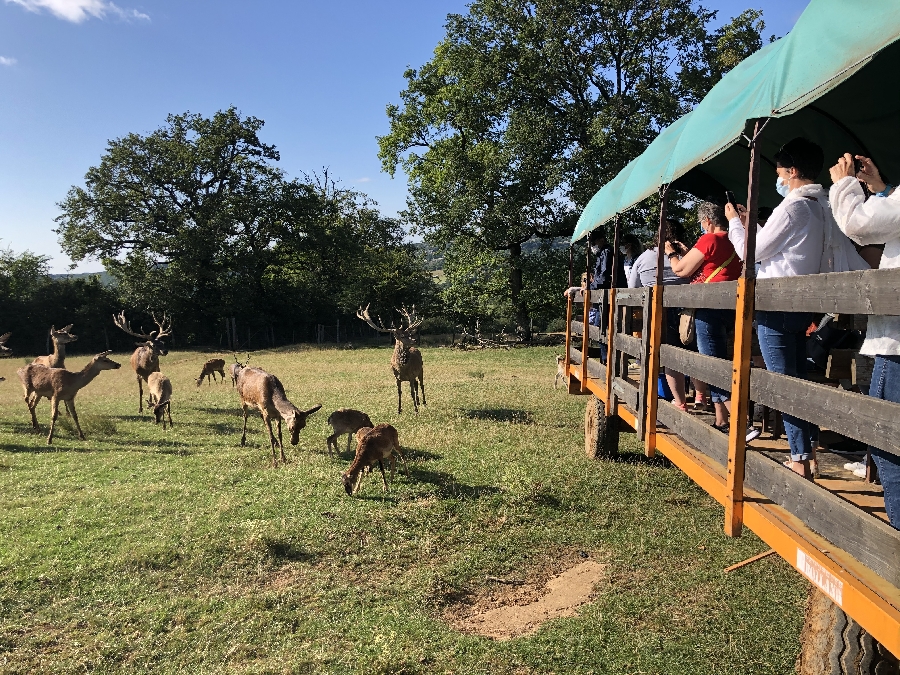 Parc animalier Le Saint Hubert