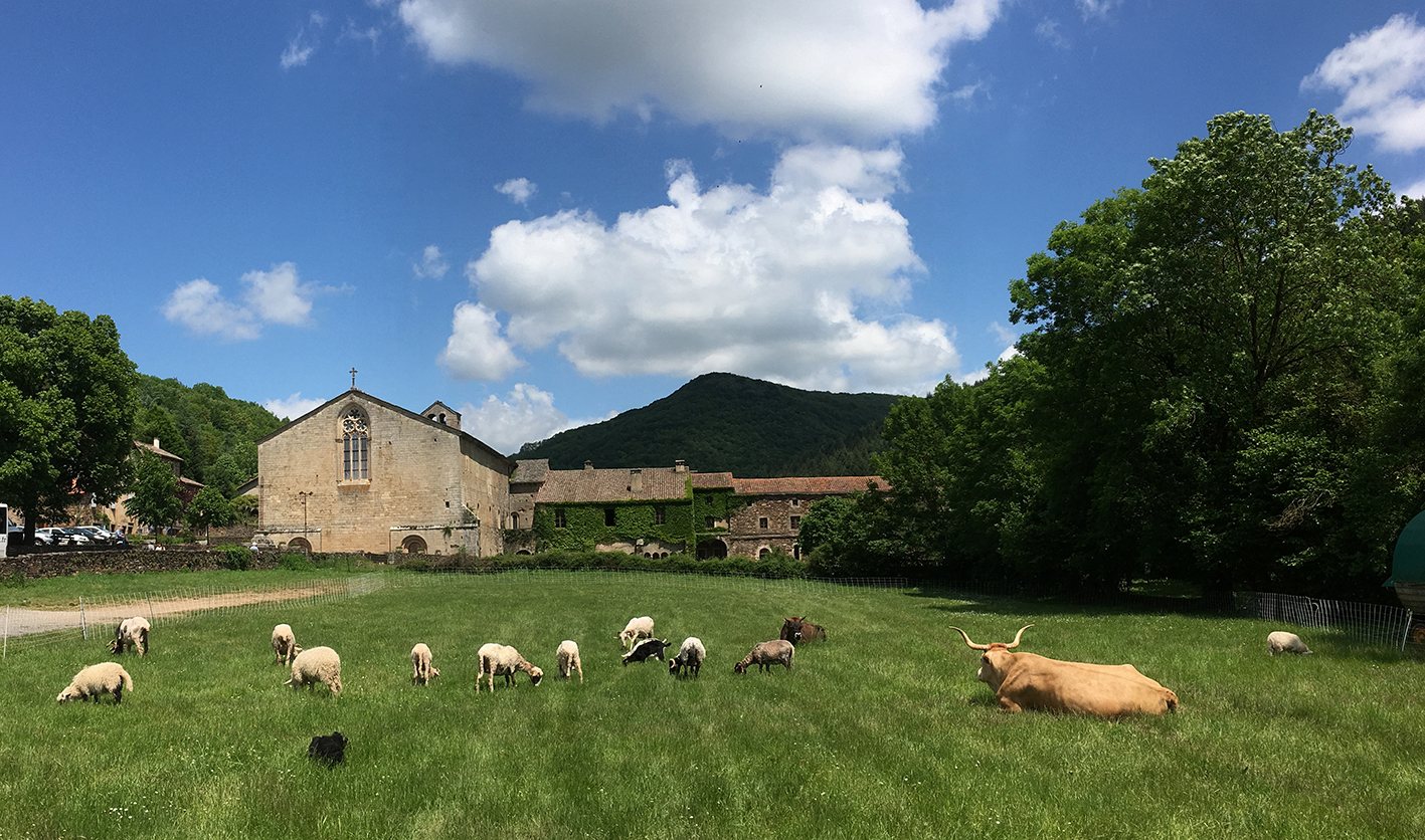 L'Abbaye de Sylvanès, © Abbaye de Sylvanès