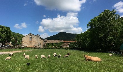 L'Abbaye de Sylvanès, © Abbaye de Sylvanès