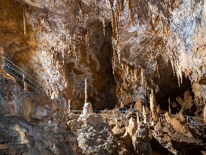 Grotte Préhistorique de Foissac (groupes), GROTTE PRÉHISTORIQUE DE FOISSAC