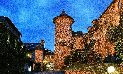 Château de Fontanges (hôtel groupes) , château de Fontanges