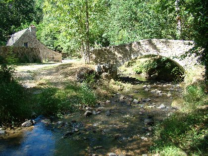 Les Martinets du Lézert (Groupe), Les Martinets du Lézert