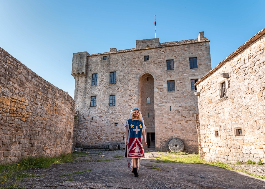 Château de Montaigut