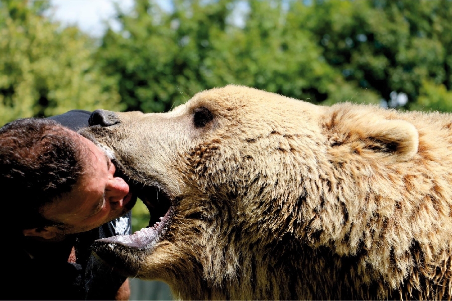 Parc animalier du Ségala - Pradinas