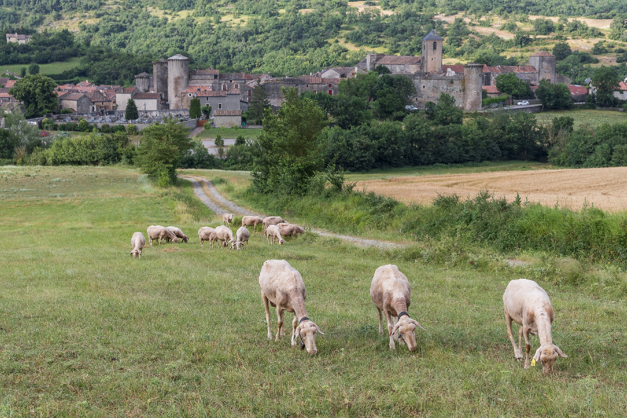 Commanderie Templière et Hospitalière du Larzac, SteEulaliedeCernon