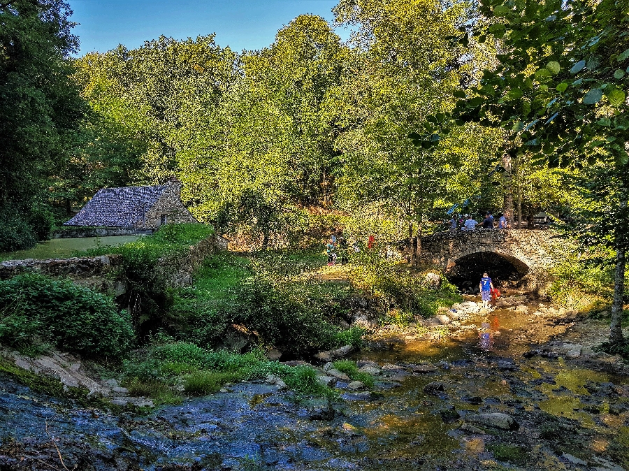 Les Martinets du Lézert à La Bastide l'Evêque