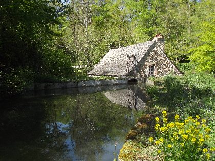 Les Martinets du Lézert à La Bastide l'Evêque