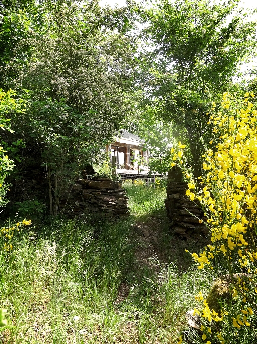 Chalet au coeur d'un jardin forêt avec vue des causses à la chaîne des Pyrénées