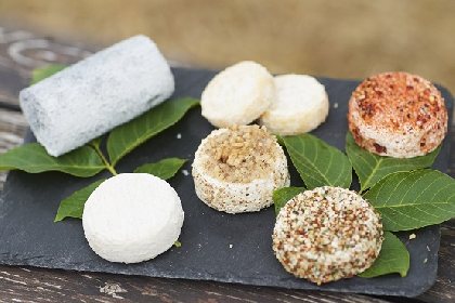 Ferme de Falgayroles, Ferme de Falgayroles