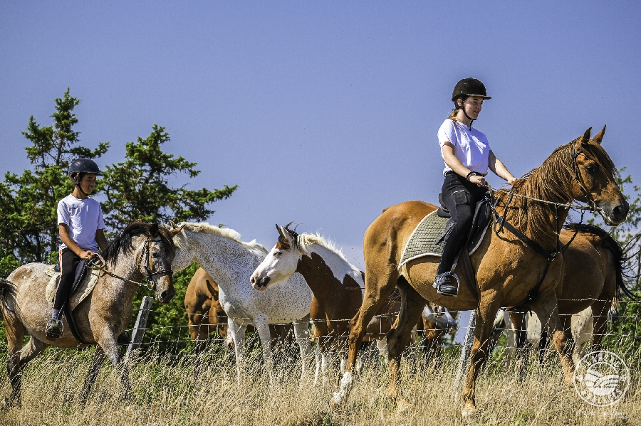 Les chevaux du rajal  France Occitanie Aveyron La Bastide-Pradines 12490