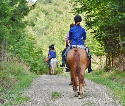 Laguiole Equitation, Office de Tourisme en Aubrac