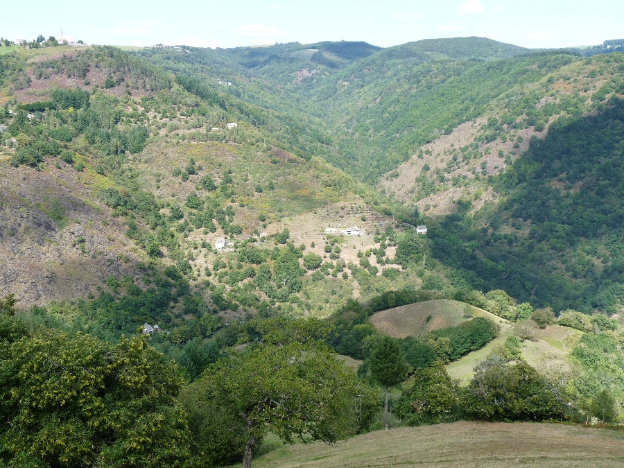 Réserve naturelle régionale des coteaux du Fel