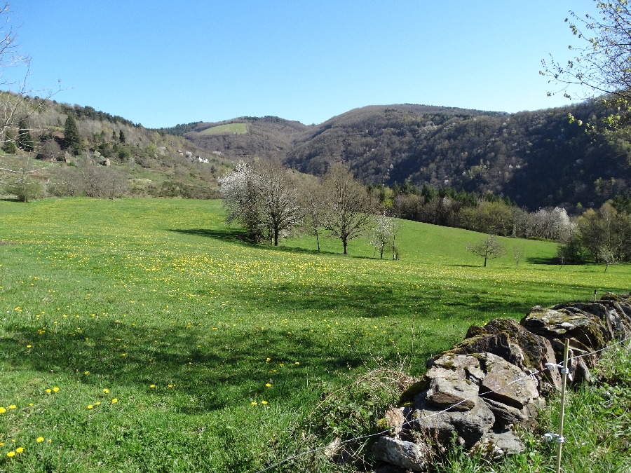 Réserve naturelle régionale des coteaux du Fel