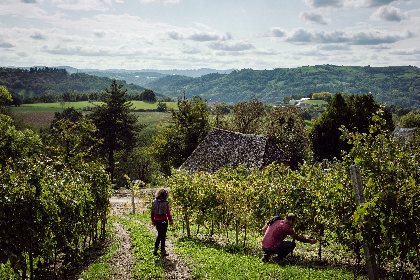 Domaine le Verdus, ©Eric Fénot-180°C