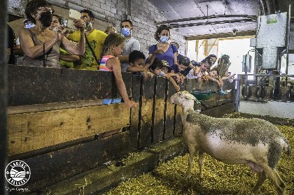 Ferme découverte de Castelnau, Vigine Govignon - OT Larzac et Vallées