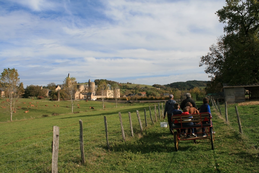 Balades en calèches ou à dos d'âne