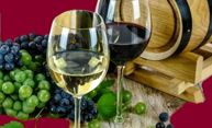 ART'VIN 5ème Rencontre des vins de vignerons vinificateurs
